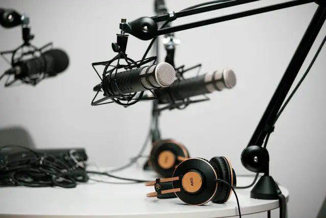 two grey condenser microphones